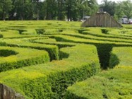 The William Meany Centre Island Maze