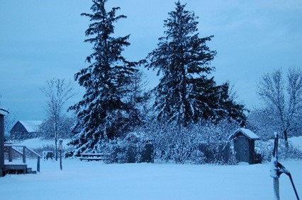 Successful December Event Image