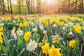 Spring Ideas 2
